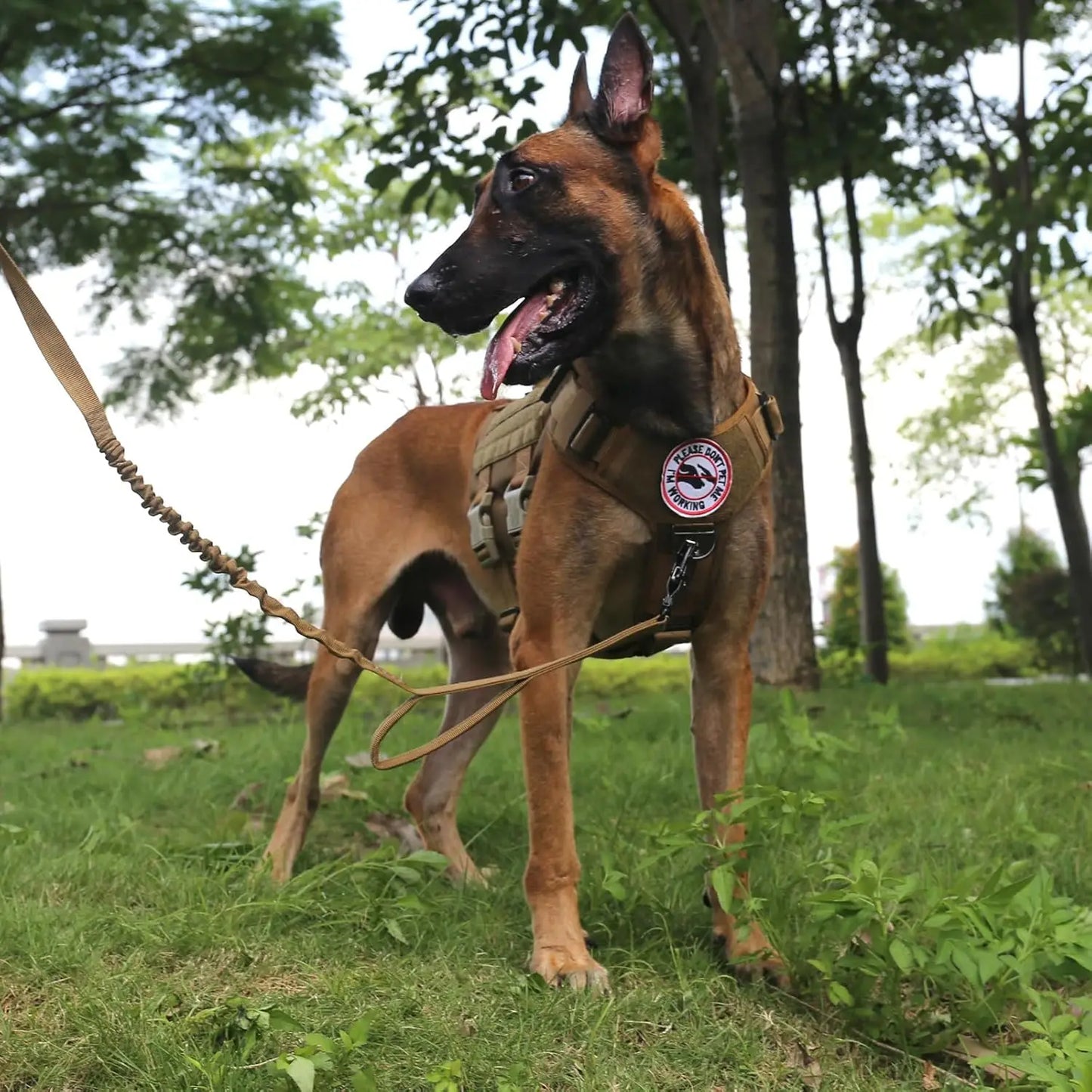Tactical Dog Harness With 6X Buckle MOLLE Vest Handle