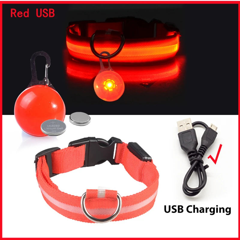 USB Charging Glowing Dog Collar With Pendant LED Light