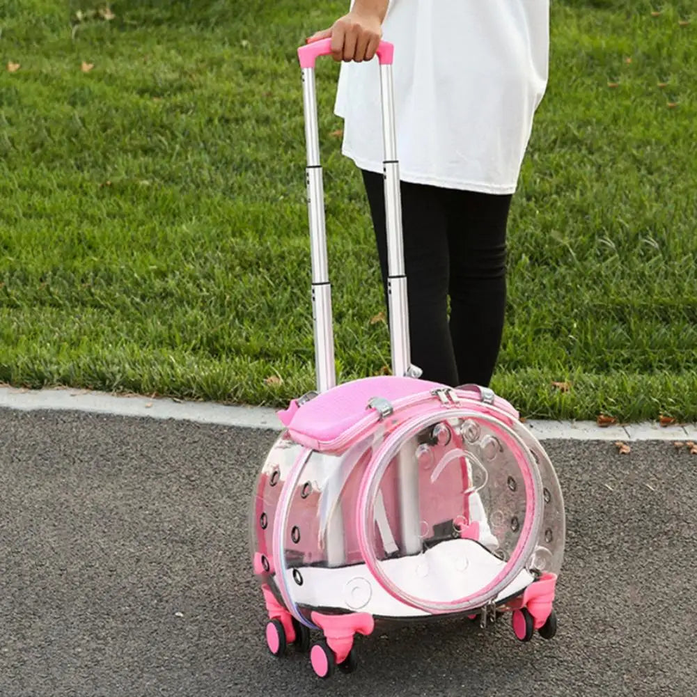 Portable Pet Trolley Case With Ventilation Holes For Cats
