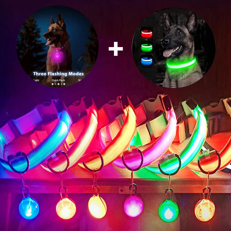 USB Charging Glowing Dog Collar With Pendant LED Light