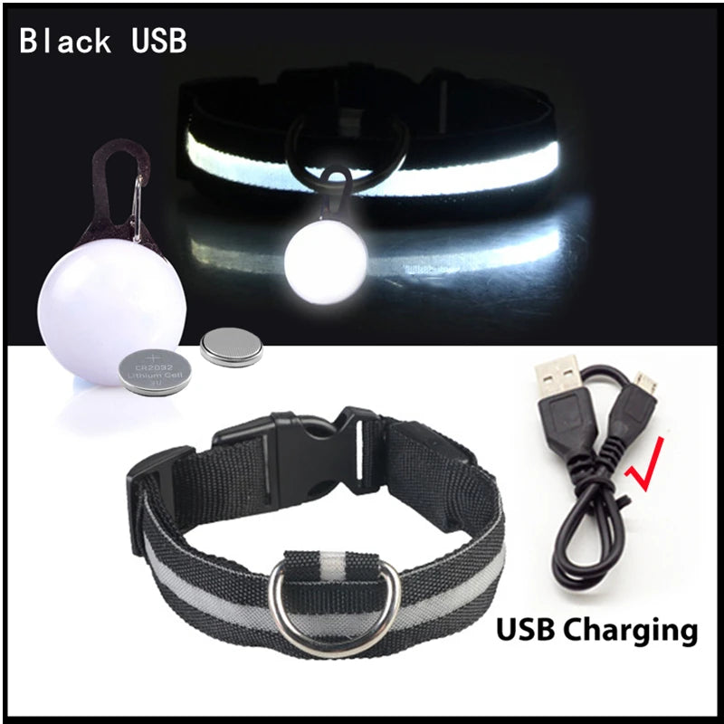 USB Charging Glowing Dog Collar With Pendant LED Light