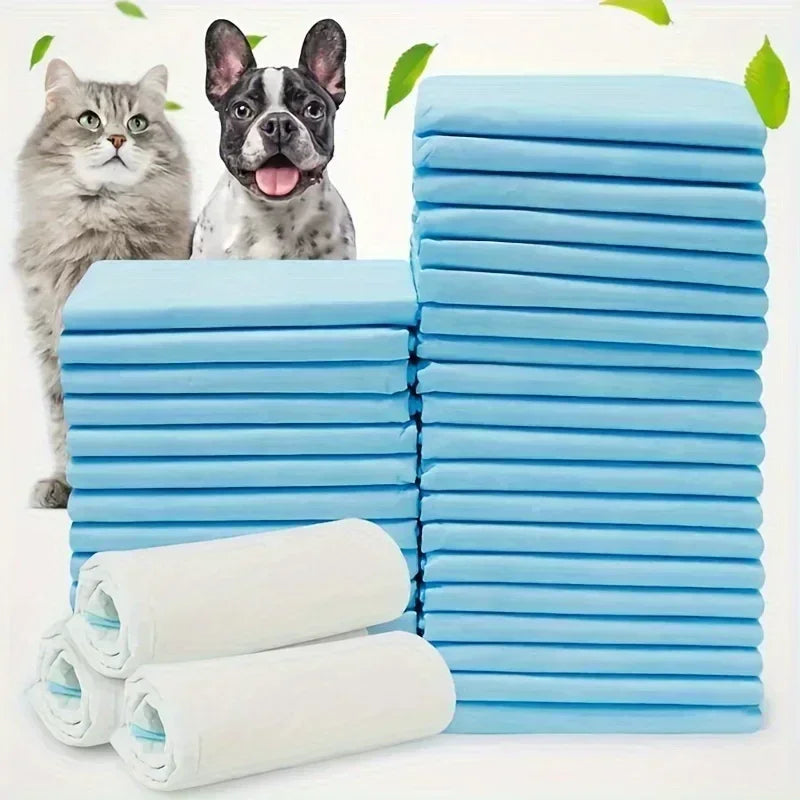Super Absorbent Odor-Control Dog Diapers And Training Pads Value Pack