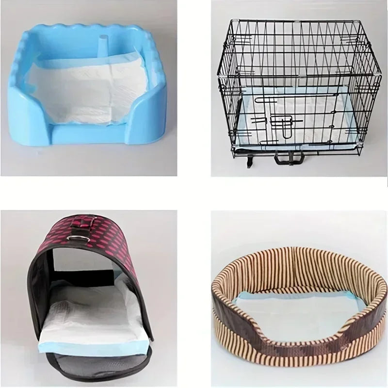 Super Absorbent Odor-Control Dog Diapers And Training Pads Value Pack