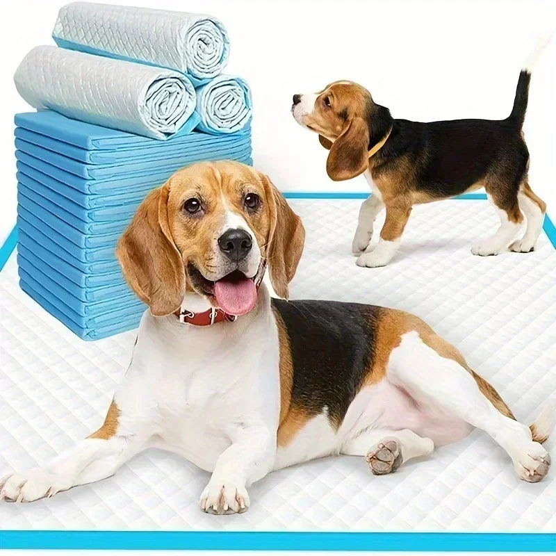 Super Absorbent Odor-Control Dog Diapers And Training Pads Value Pack