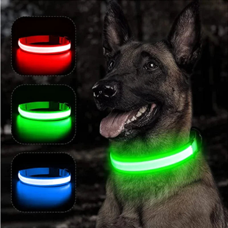USB Charging Glowing Dog Collar With Pendant LED Light
