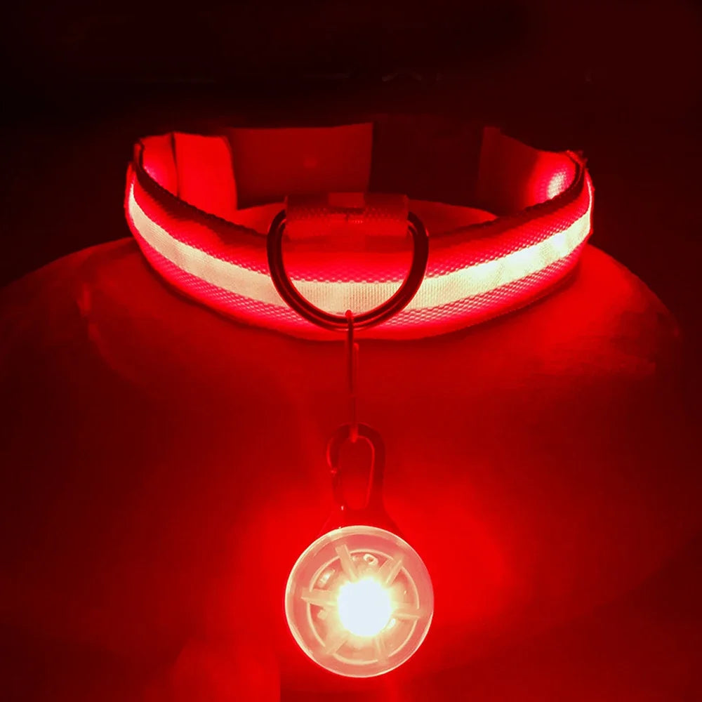 USB Charging Glowing Dog Collar With Pendant LED Light