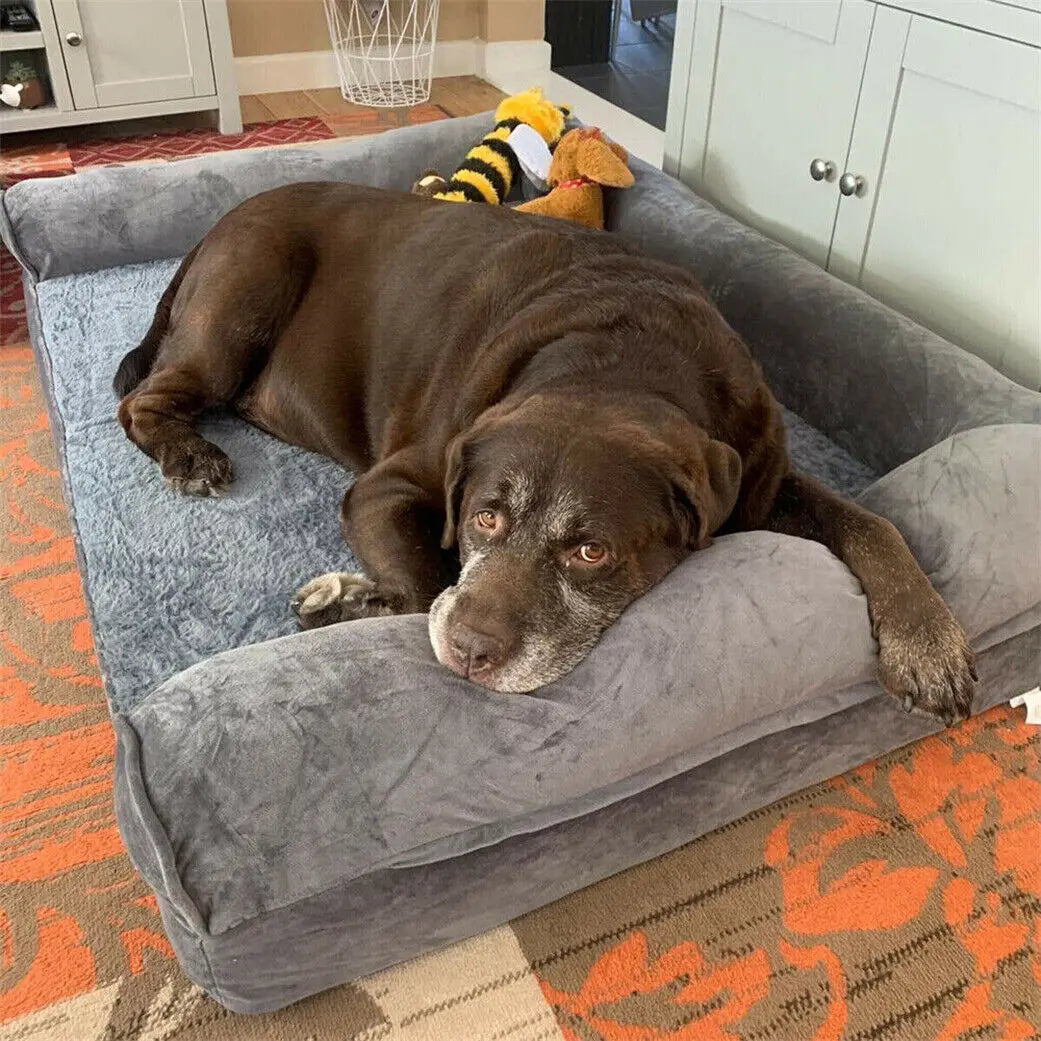 BINGOPAW Orthopedic Dog Bed with Removable Washable Cover