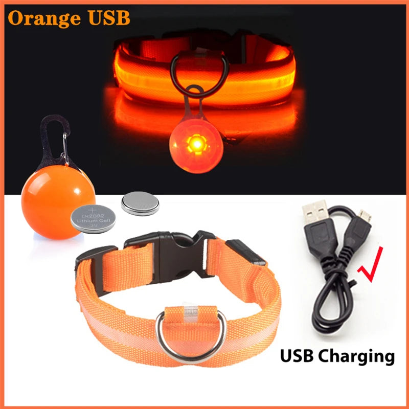 USB Charging Glowing Dog Collar With Pendant LED Light