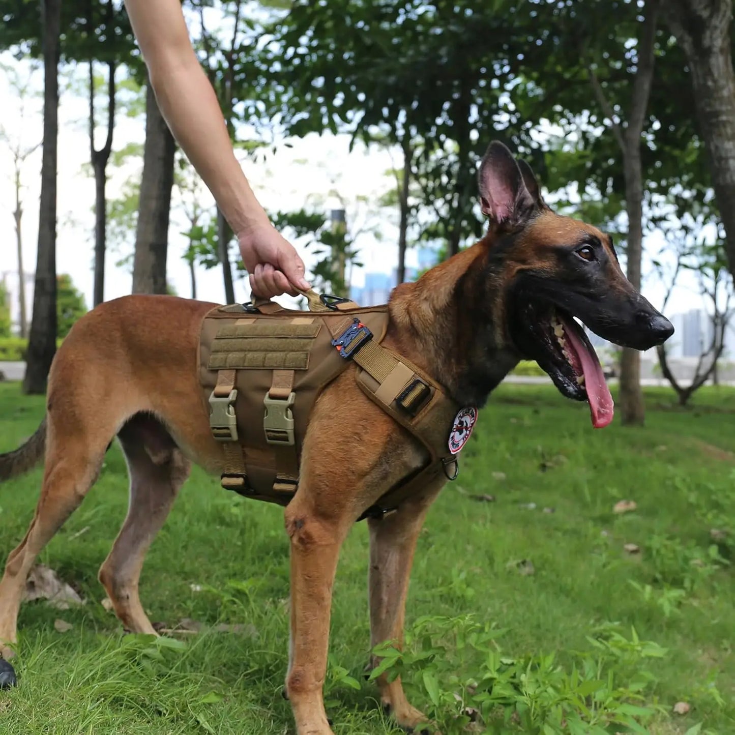 Tactical Dog Harness With 6X Buckle MOLLE Vest Handle