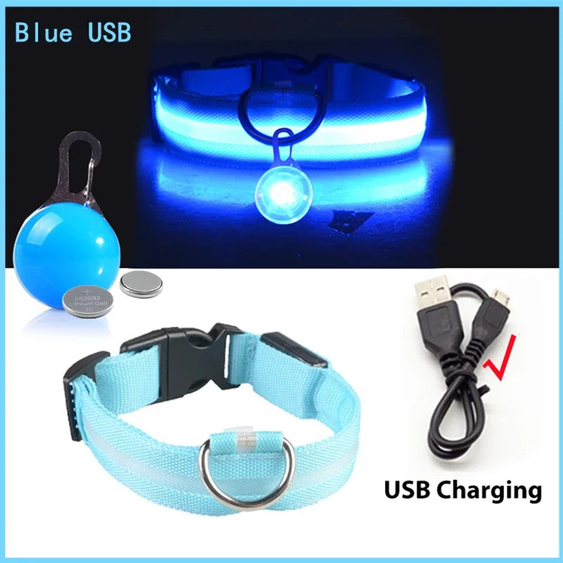 USB Charging Glowing Dog Collar With Pendant LED Light