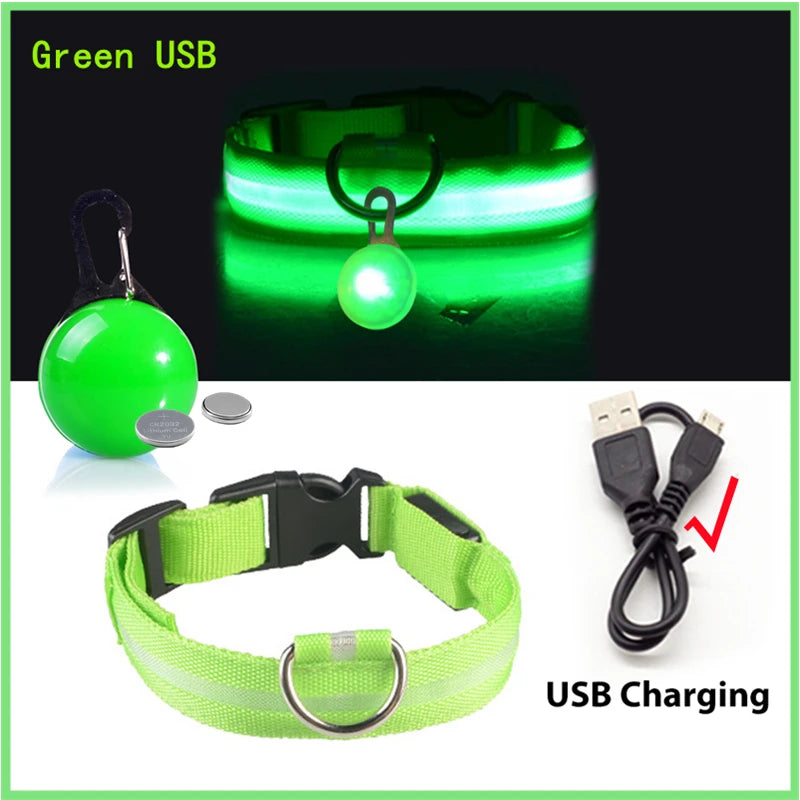 USB Charging Glowing Dog Collar With Pendant LED Light