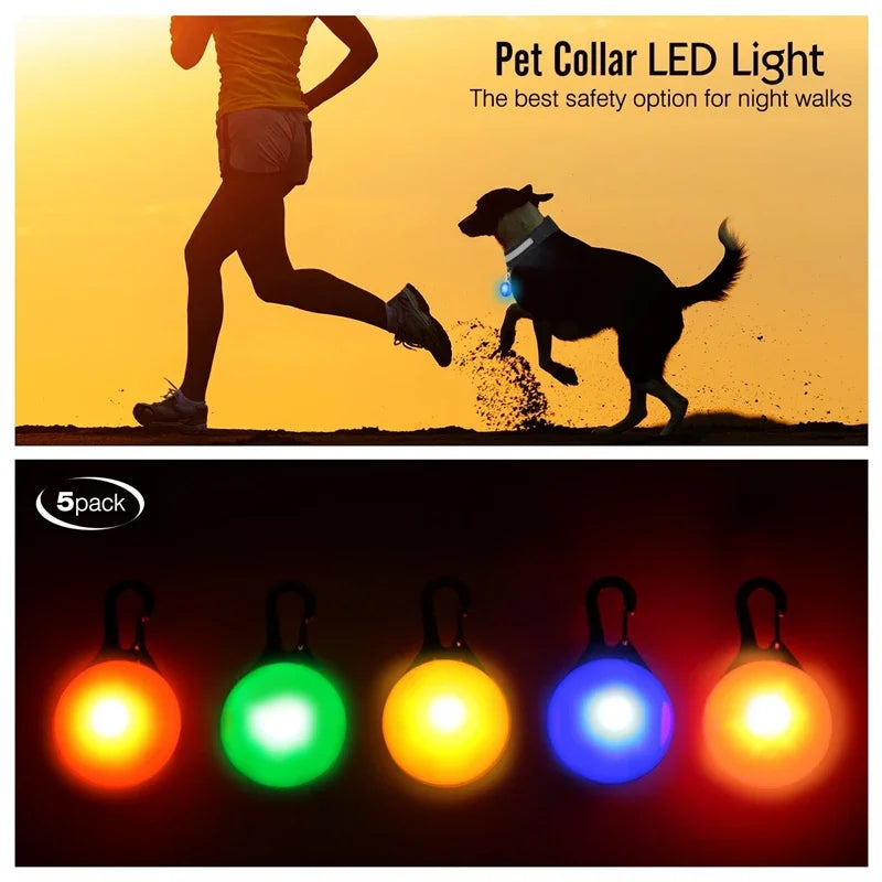 USB Charging Glowing Dog Collar With Pendant LED Light