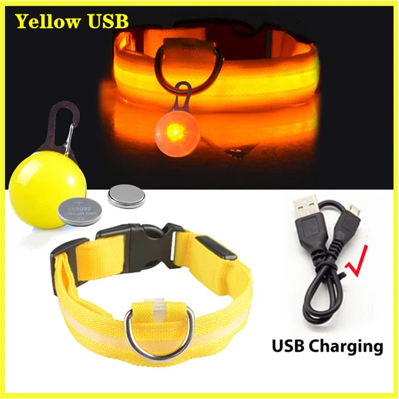 USB Charging Glowing Dog Collar With Pendant LED Light