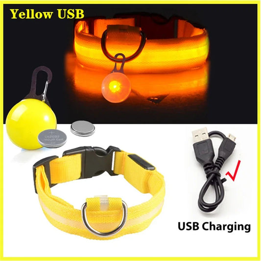 USB Charging Glowing Dog Collar With Pendant LED Light