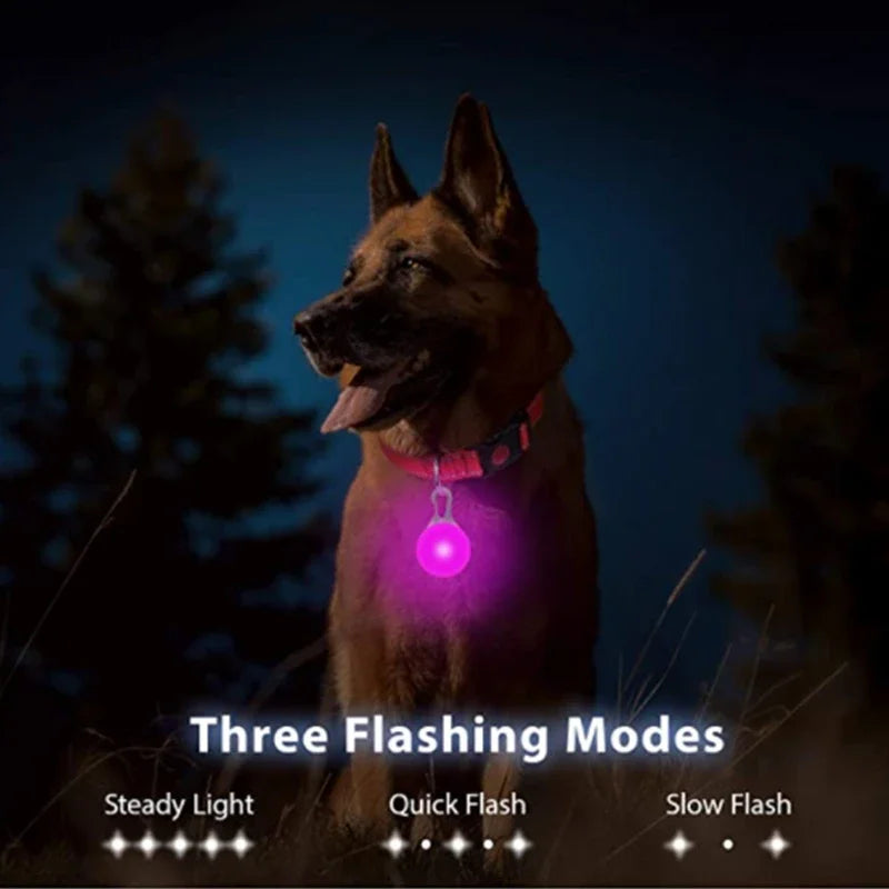 USB Charging Glowing Dog Collar With Pendant LED Light