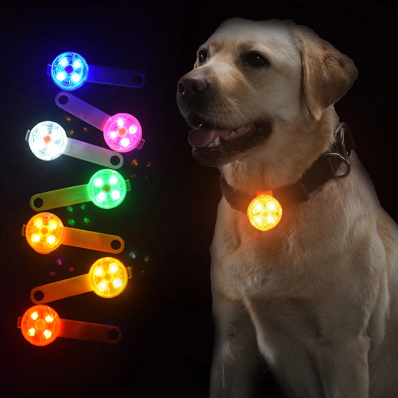 LED Pet Collar Pendant Night Light IPX7 Waterproof Harness